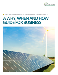 A Why, When and How Guide for Business